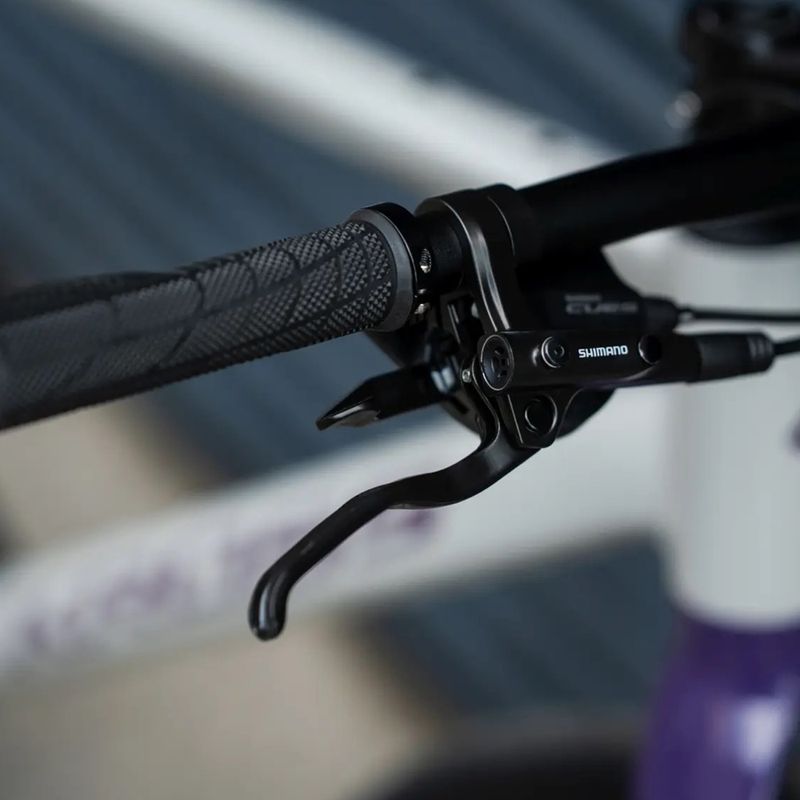 Gravel bike KROSS Esker 1.0 FL grey/purple/shine 16