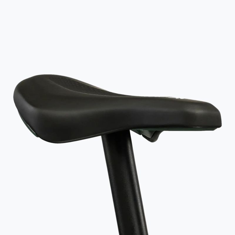 Children's bike KROSS Liftie 24 mint/black/shine 10