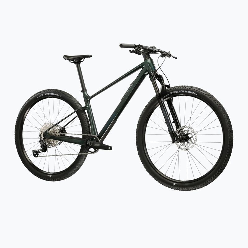 Mountain bike KROSS Level RS 1.0 green/kameleon/shine 2