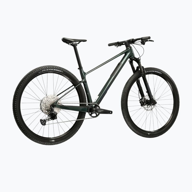 Mountain bike KROSS Level RS 1.0 green/kameleon/shine 3