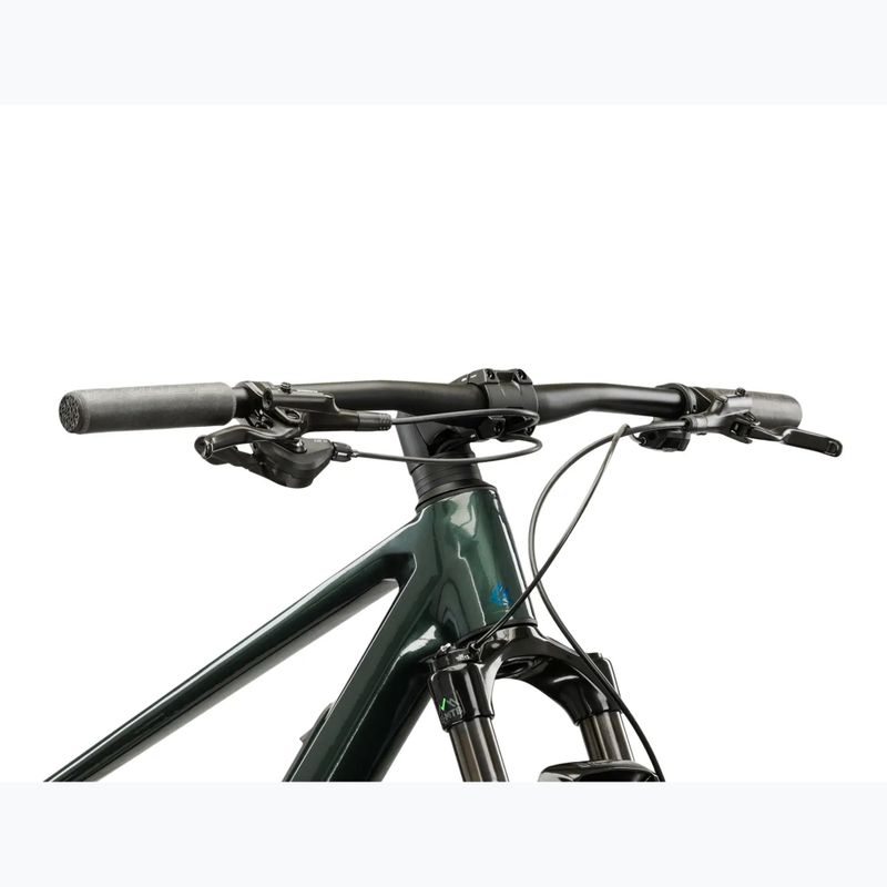 Mountain bike KROSS Level RS 1.0 green/kameleon/shine 4