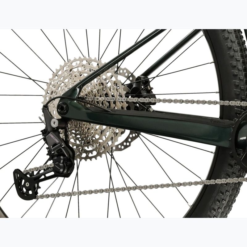 Mountain bike KROSS Level RS 1.0 green/kameleon/shine 7