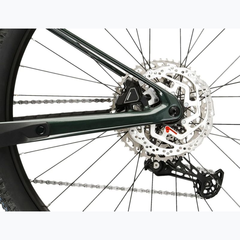 Mountain bike KROSS Level RS 1.0 green/kameleon/shine 9