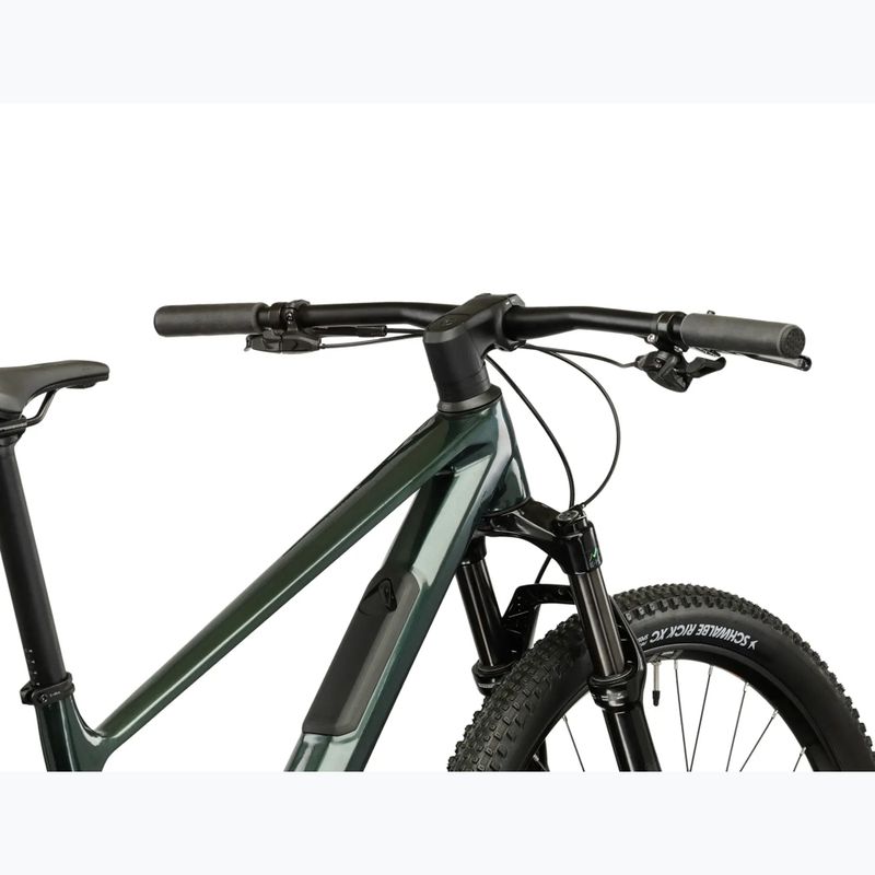 Mountain bike KROSS Level RS 1.0 green/kameleon/shine 10