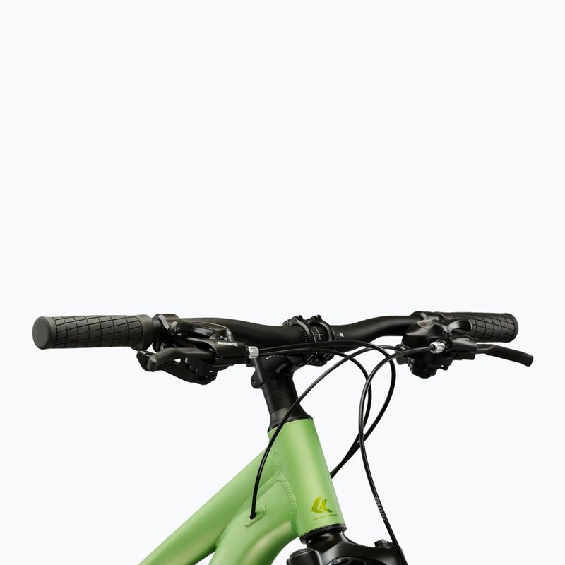 Women's mountain bike KROSS Lea X200 W 29 green/green/matte 4