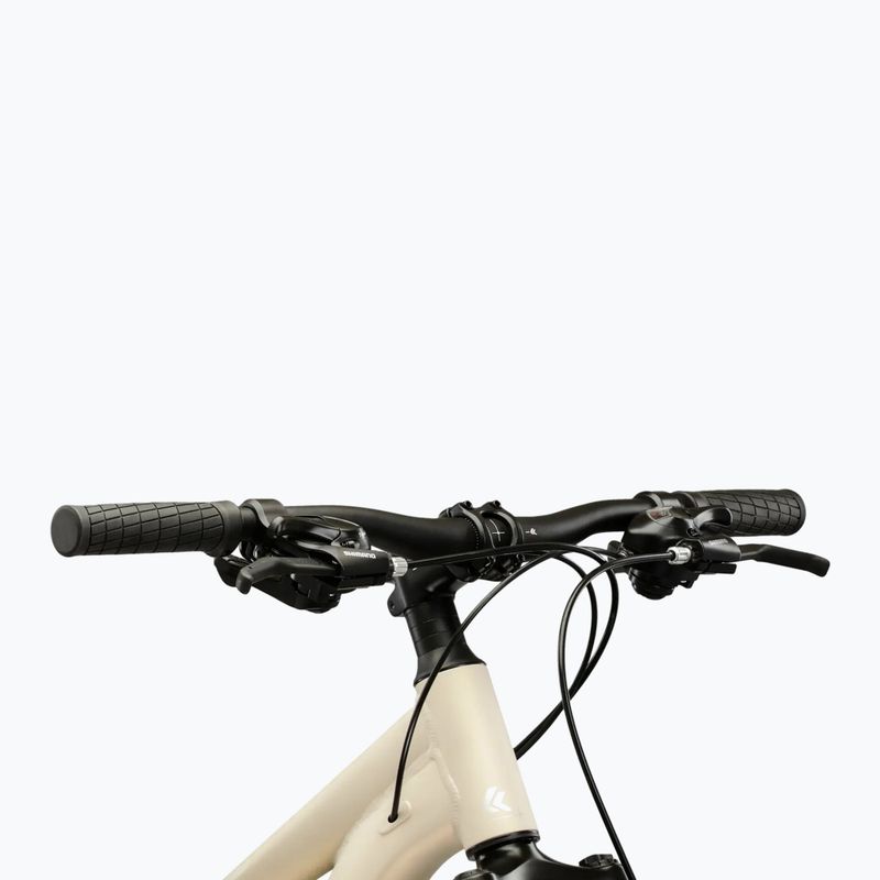 Women's mountain bike KROSS Lea X200 W 29 silver/silver/matte 4