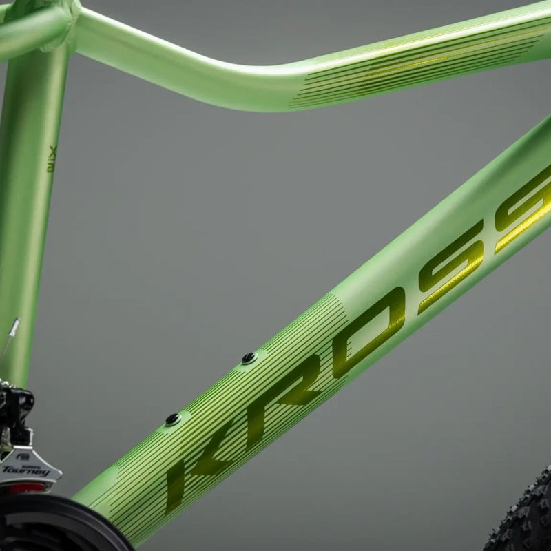Women's mountain bike KROSS Lea X200 W 27.5 green/green/matte 12