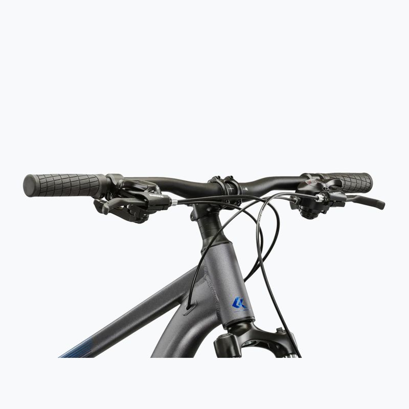 Mountain bike KROSS Hexagon X200 29" grey/blue/mat 4