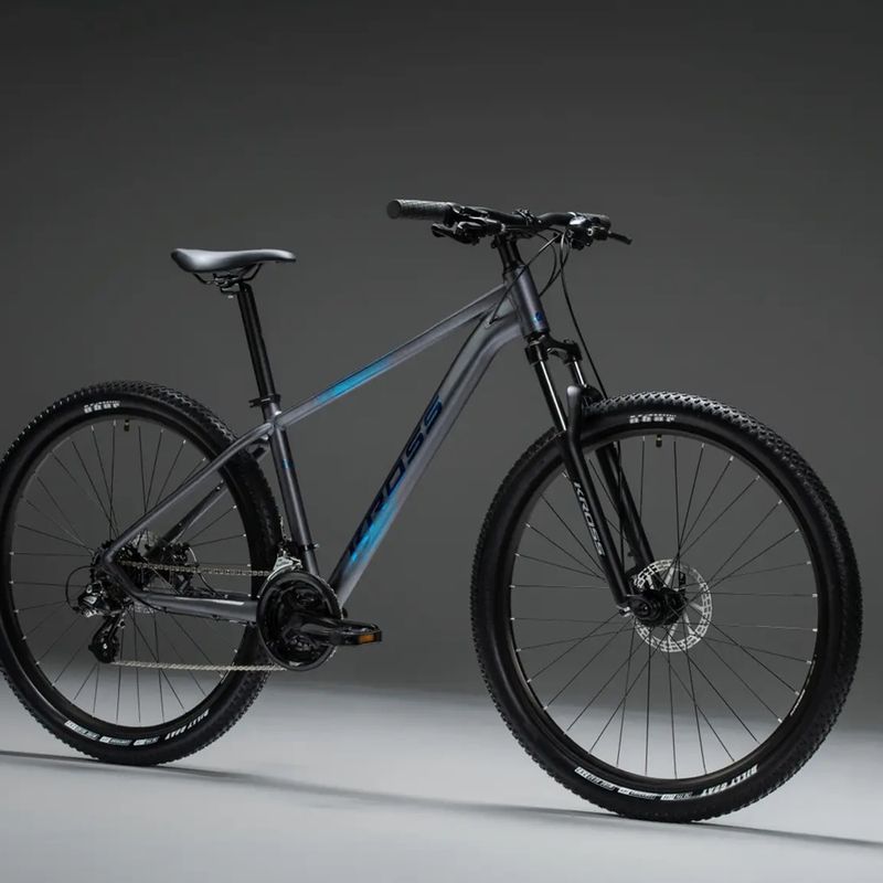 Mountain bike KROSS Hexagon X200 29" grey/blue/mat 10