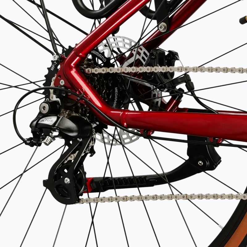 Mountain bike KROSS Hexagon X200 EQ 29" ruby/graphite/shine 7