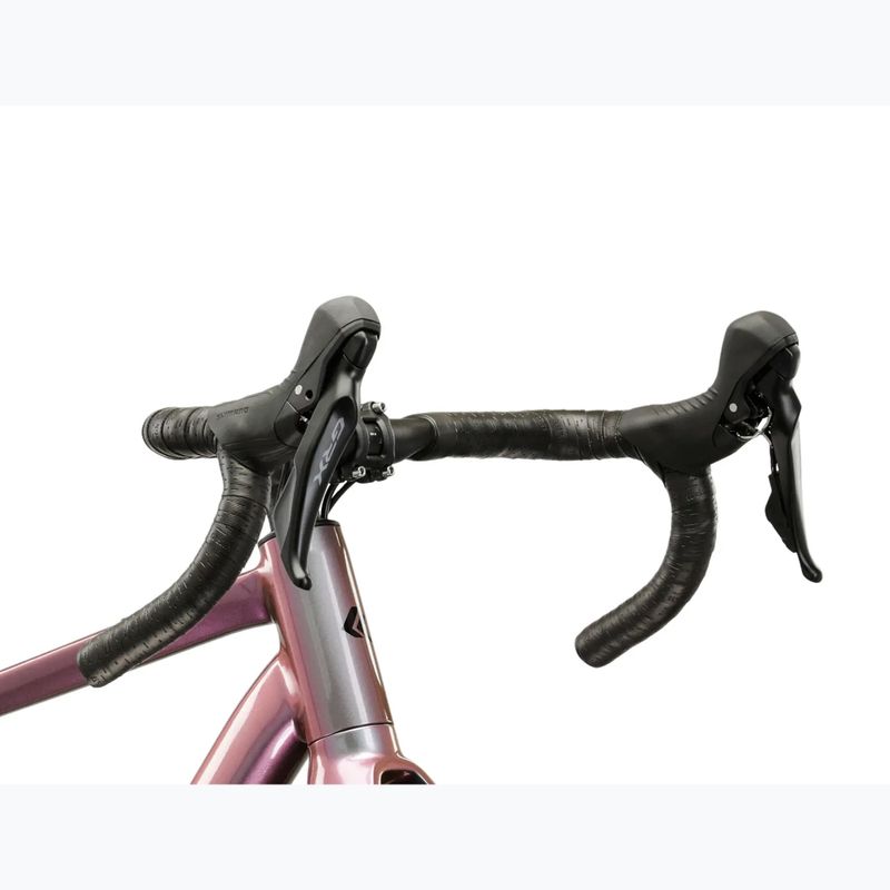 Gravel bike KROSS Esker 6.0 kameleon/mat/shine 6
