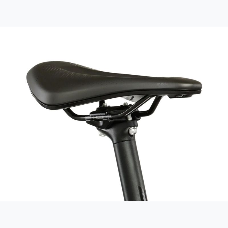 Gravel bike KROSS Esker 6.0 kameleon/mat/shine 12