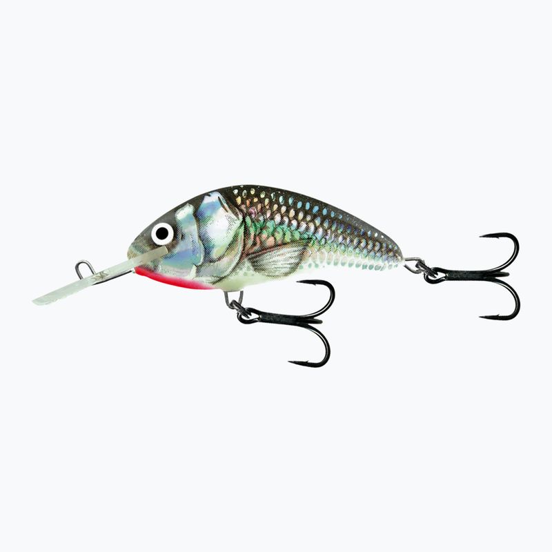 Salmo Hornet FL holographic grey shiner QHT077 wobbler