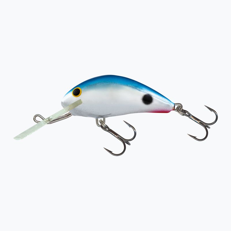 Salmo Hornet FL red tail shiner QHT085 wobbler