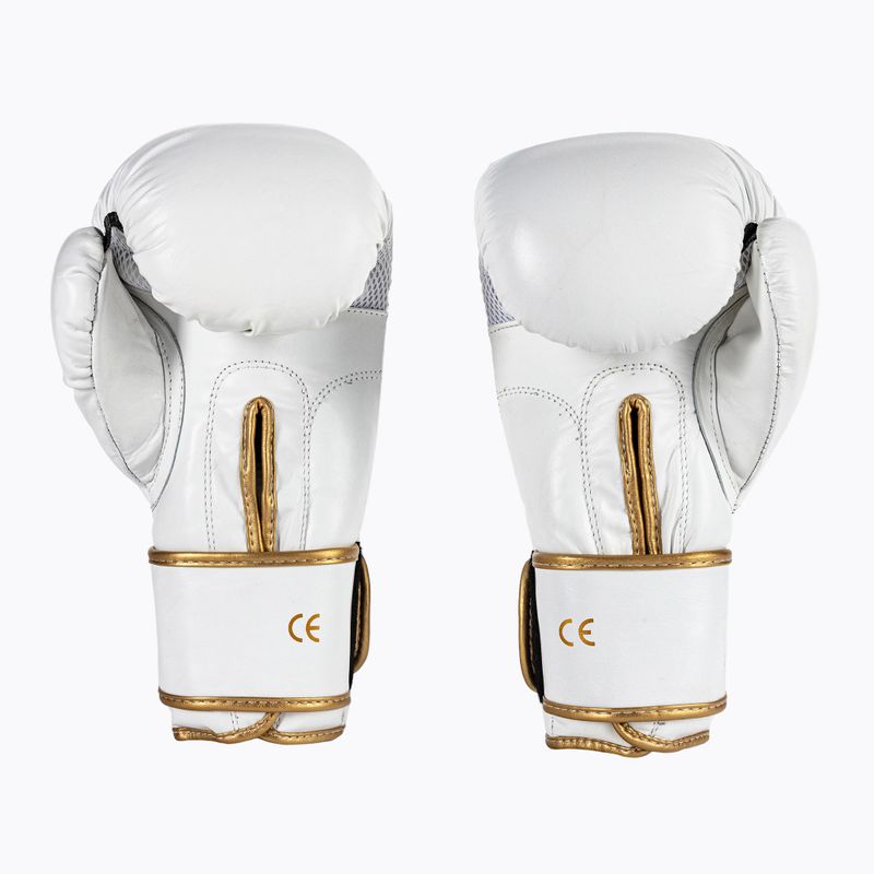 Boxing gloves DBX BUSHIDO DBD-B-2 white 2