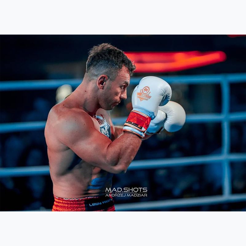 Boxing gloves DBX BUSHIDO DBD-B-2 white 12