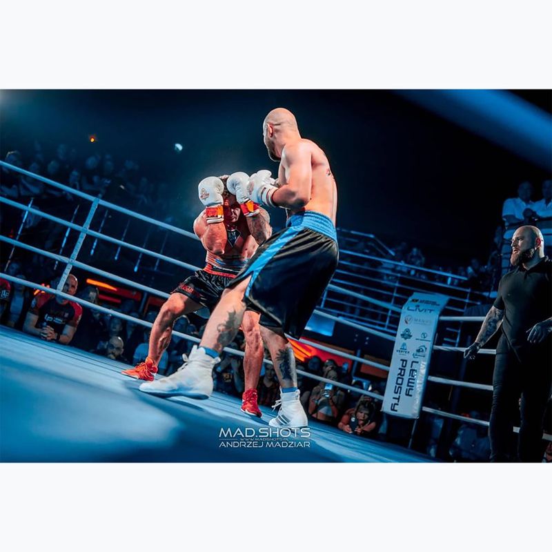 Boxing gloves DBX BUSHIDO DBD-B-2 white 13