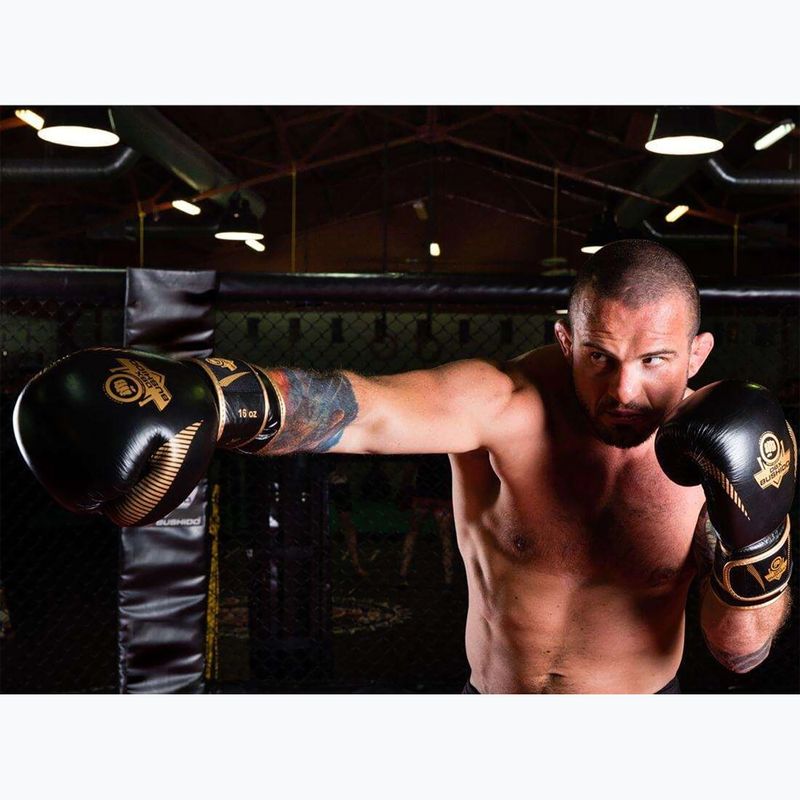 Boxing gloves DBX BUSHIDO natural leather black B-2v13 21