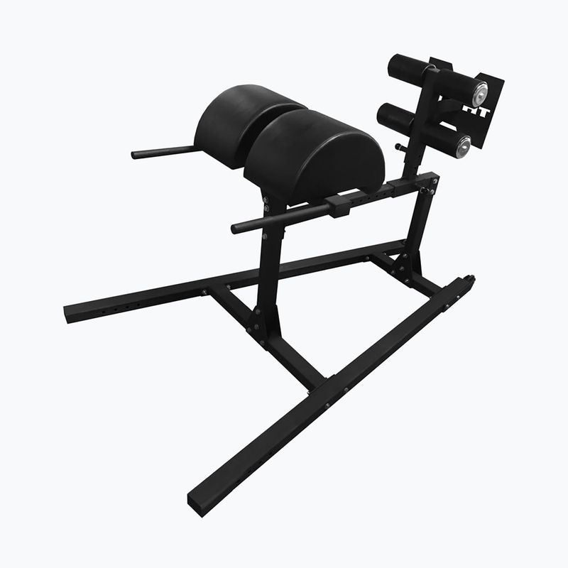 Biceps exercise device THORN FIT GHD-1 gym black 2