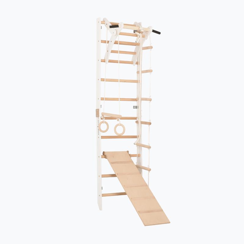 RINAGYM SPR A+SLIDE gymnastic ladder 2