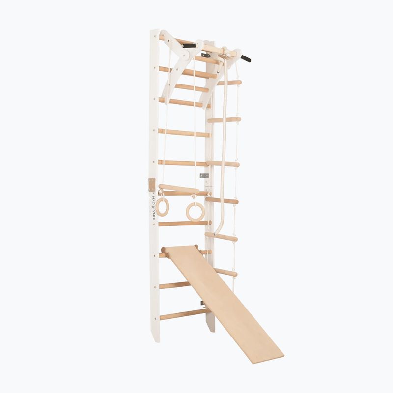 RINAGYM SPR A+SLIDE gymnastic ladder 4