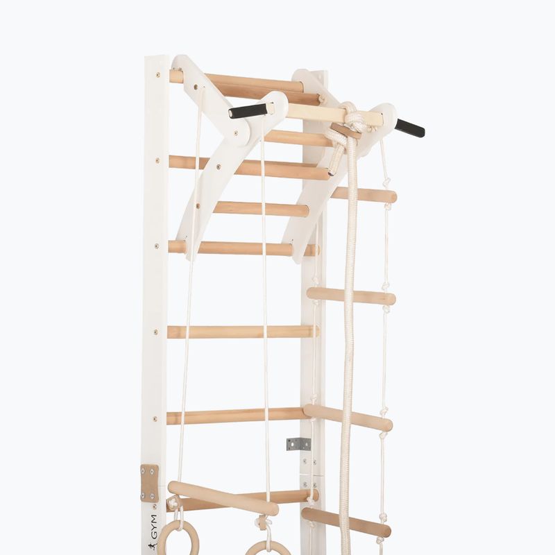 RINAGYM SPR A+SLIDE gymnastic ladder 5