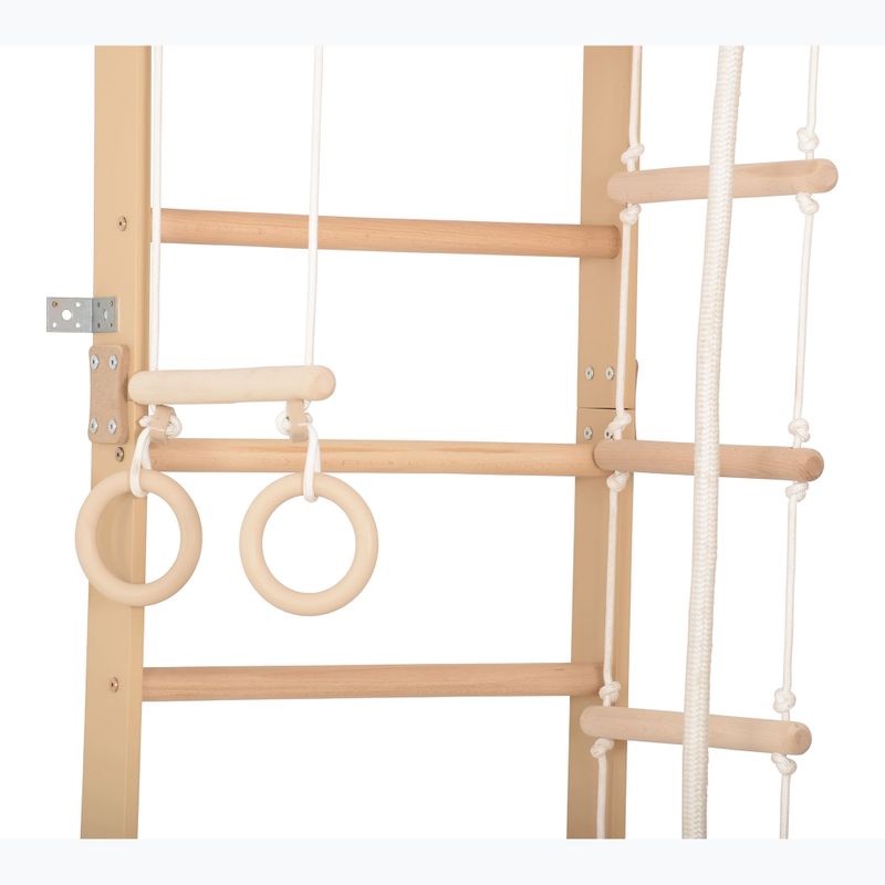 RINAGYM gymnastic ladder SPR C 5