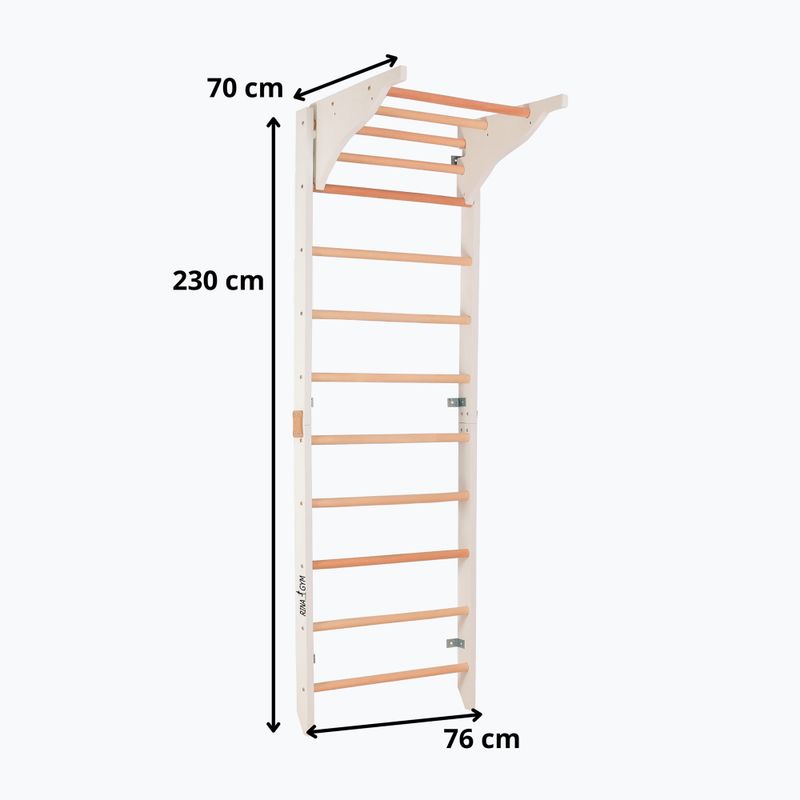 Training ladder RINAGYM Pro Pure pure white 6