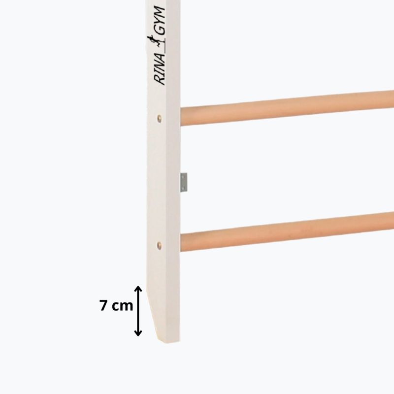 Training ladder RINAGYM Pro Pure pure white 8