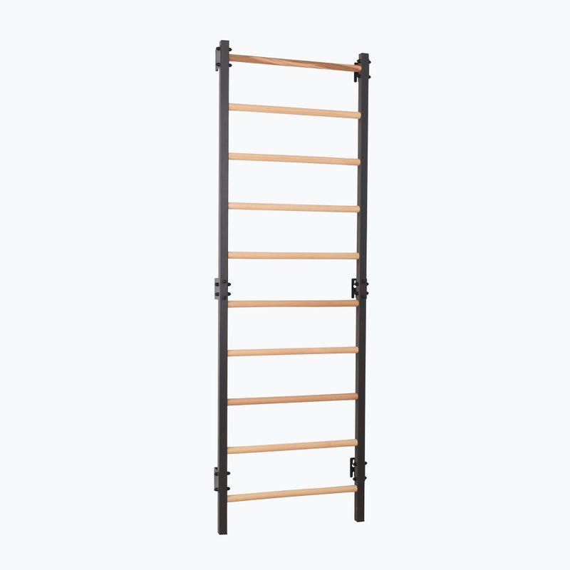 Gymnastics ladder RINAGYM Steel 1 graphit 2