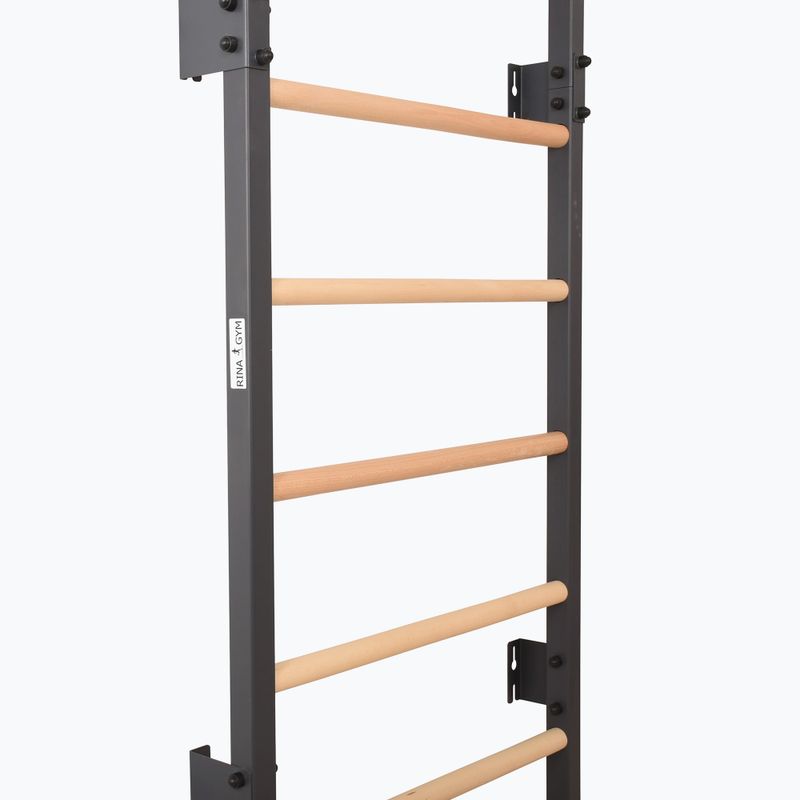 Gymnastics ladder RINAGYM Steel 1 graphit 3