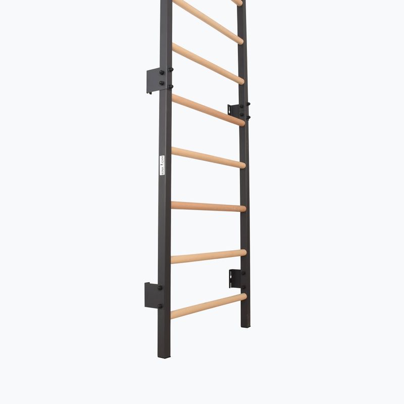 Gymnastics ladder RINAGYM Steel 1 graphit 4