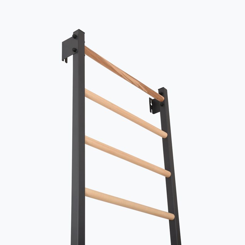 Gymnastics ladder RINAGYM Steel 1 graphit 5