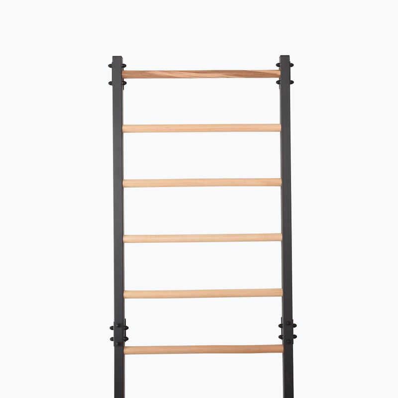 Gymnastics ladder RINAGYM Steel 1 graphit 6