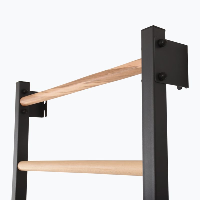 Gymnastics ladder RINAGYM Steel 1 graphit 8