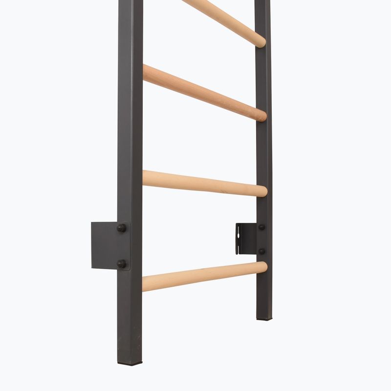 Gymnastics ladder RINAGYM Steel 1 graphit 3