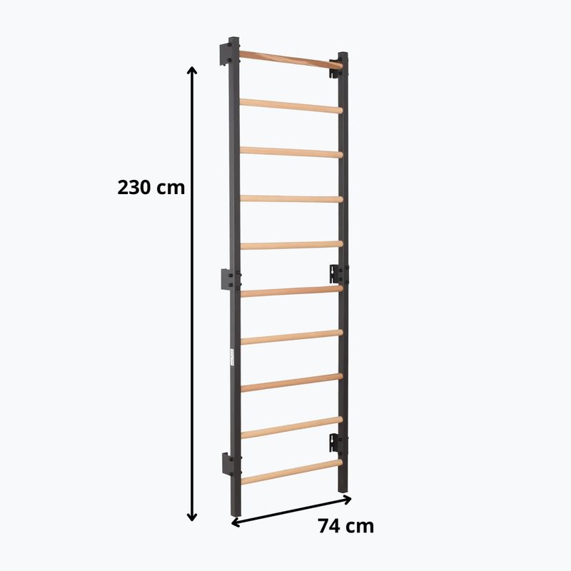 Gymnastics ladder RINAGYM Steel 1 graphit 9