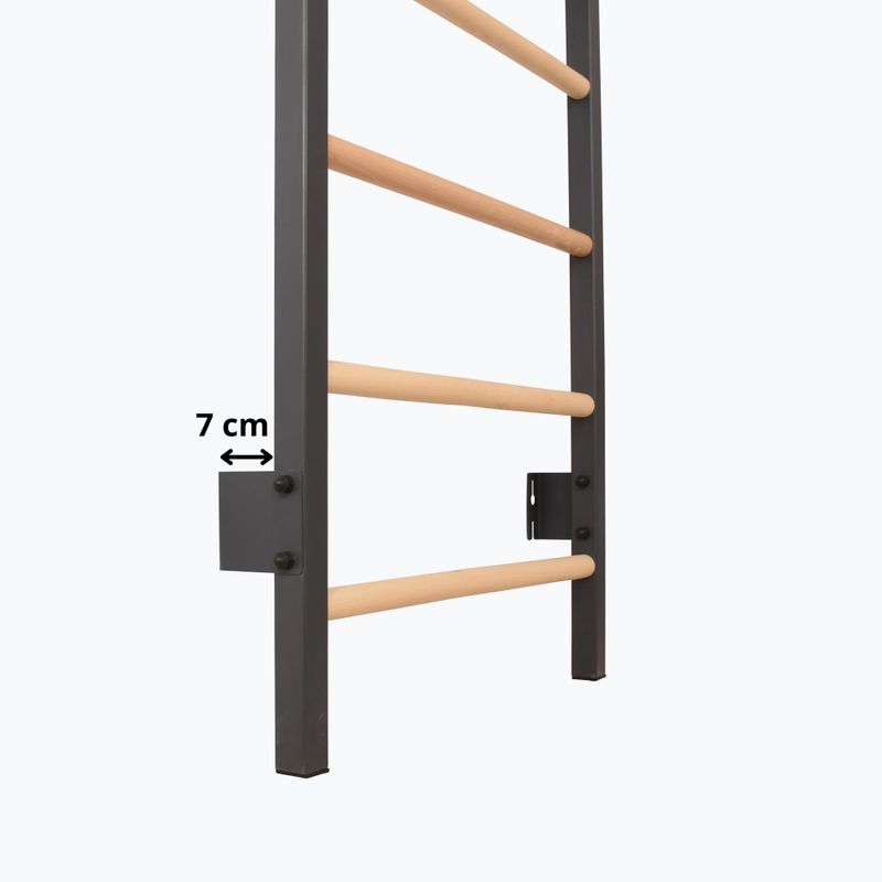 Gymnastics ladder RINAGYM Steel 1 graphit 10