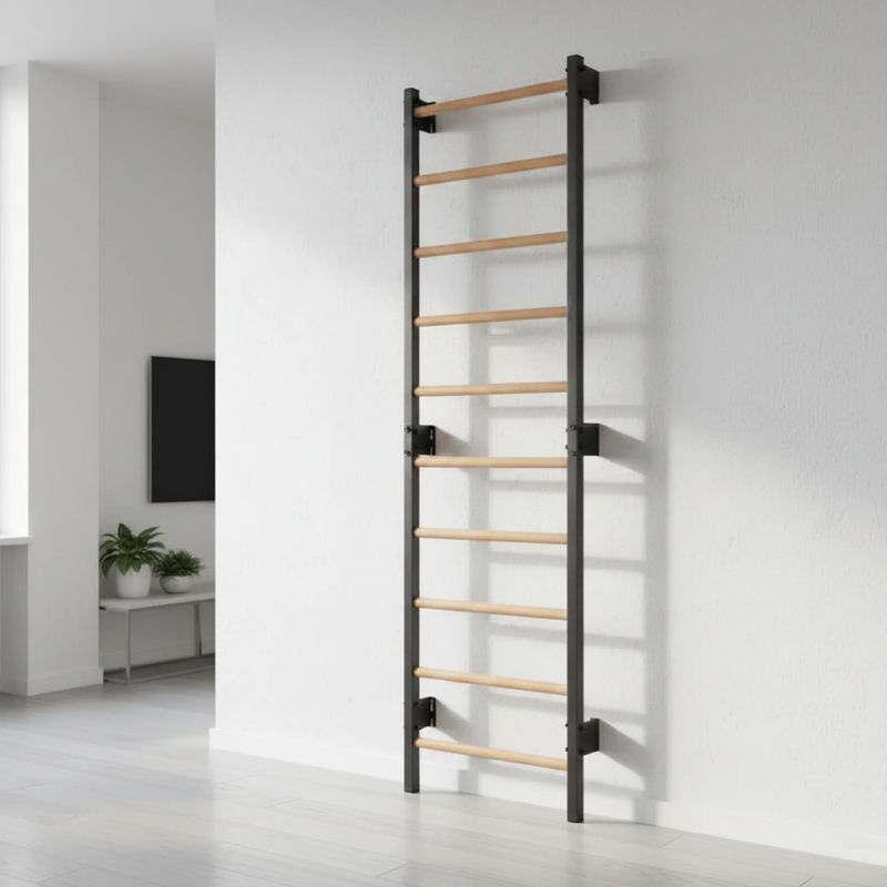 Gymnastics ladder RINAGYM Steel 1 graphit 11