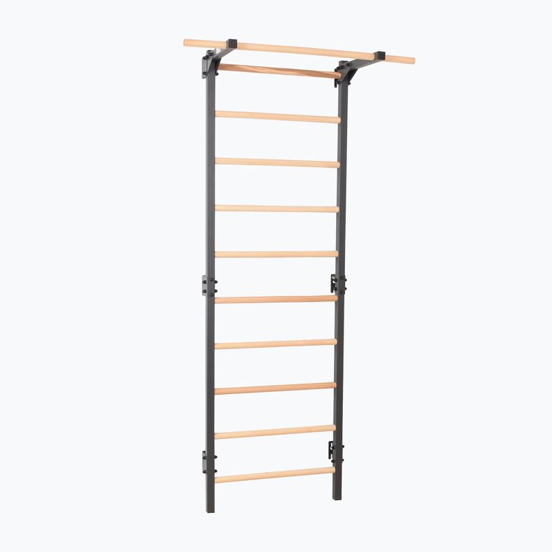 Gymnastics ladder RINAGYM Steel Pure graphit 2