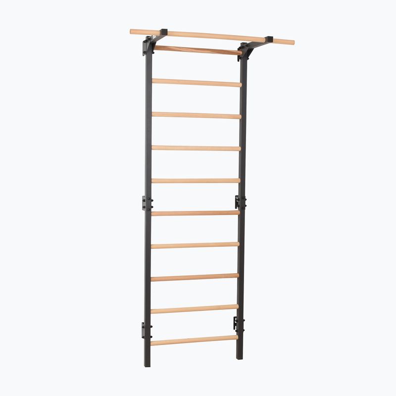 Gymnastics ladder RINAGYM Steel Pure graphit 3