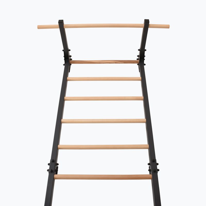 Gymnastics ladder RINAGYM Steel Pure graphit 4