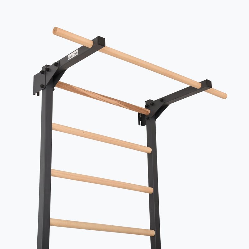 Gymnastics ladder RINAGYM Steel Pure graphit 5