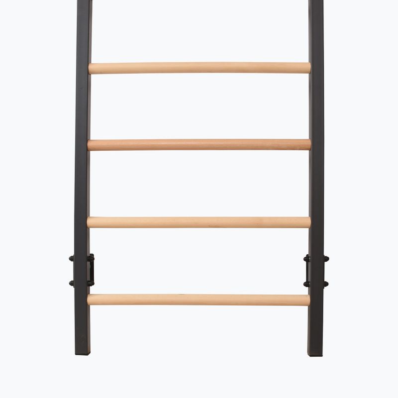 Gymnastics ladder RINAGYM Steel Pure graphit 8