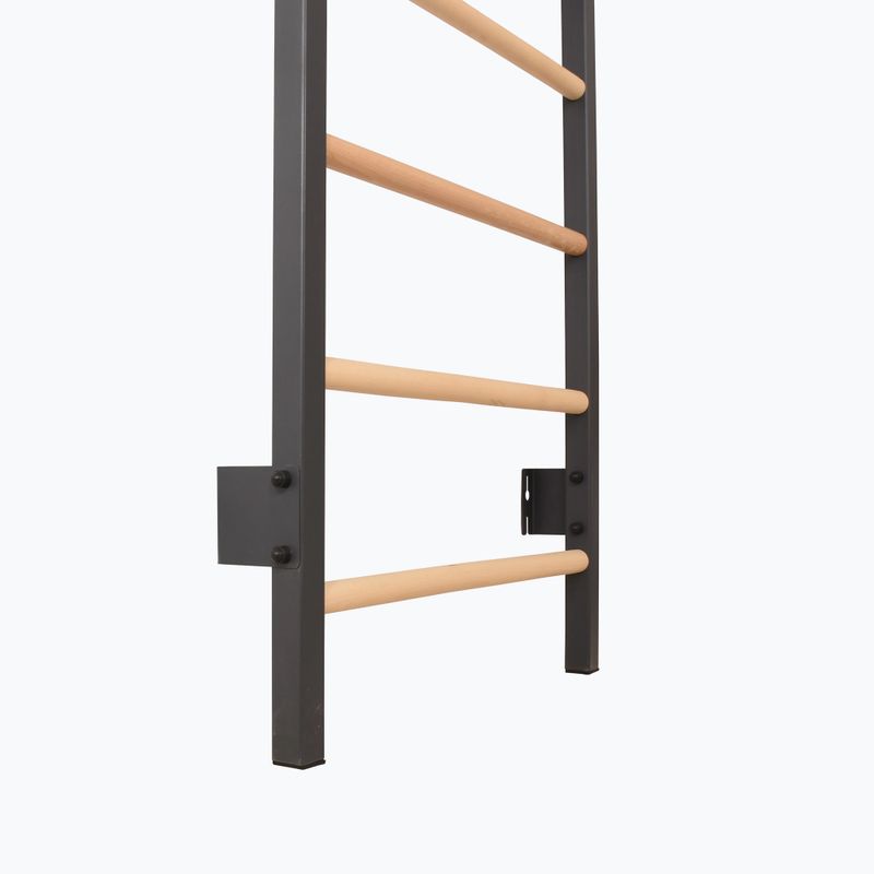 Gymnastics ladder RINAGYM Steel Pure graphit 9