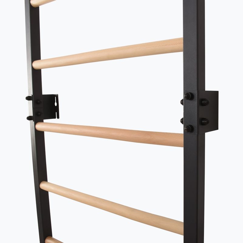 Gymnastics ladder RINAGYM Steel Pure graphit 10