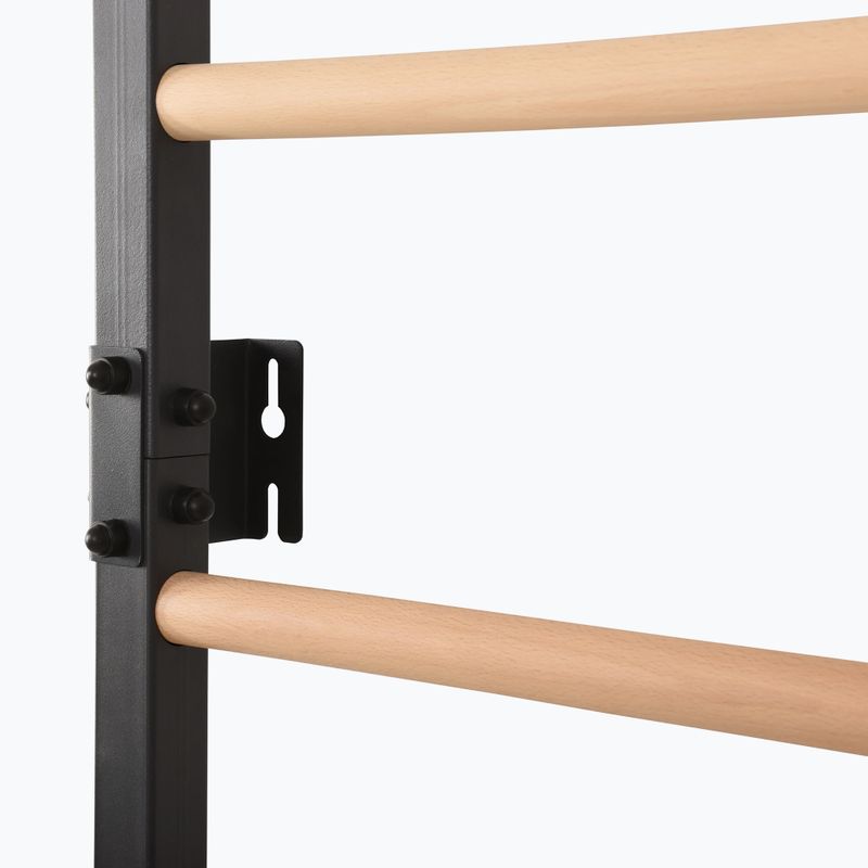Gymnastics ladder RINAGYM Steel Pure graphit 11