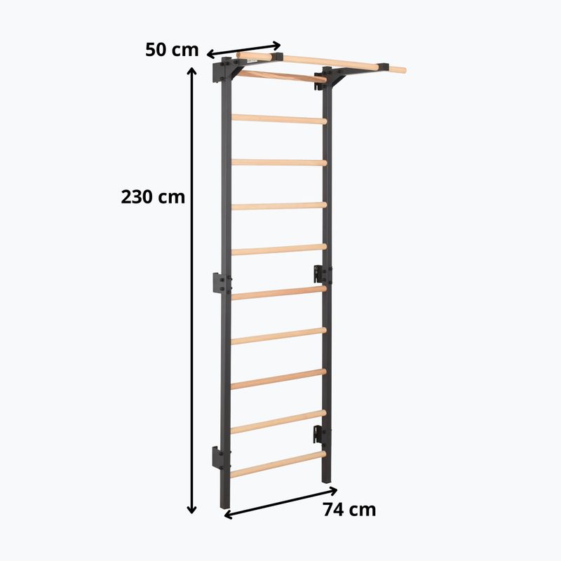 Gymnastics ladder RINAGYM Steel Pure graphit 12