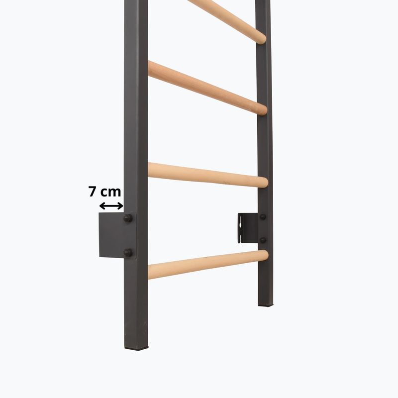 Gymnastics ladder RINAGYM Steel Pure graphit 13