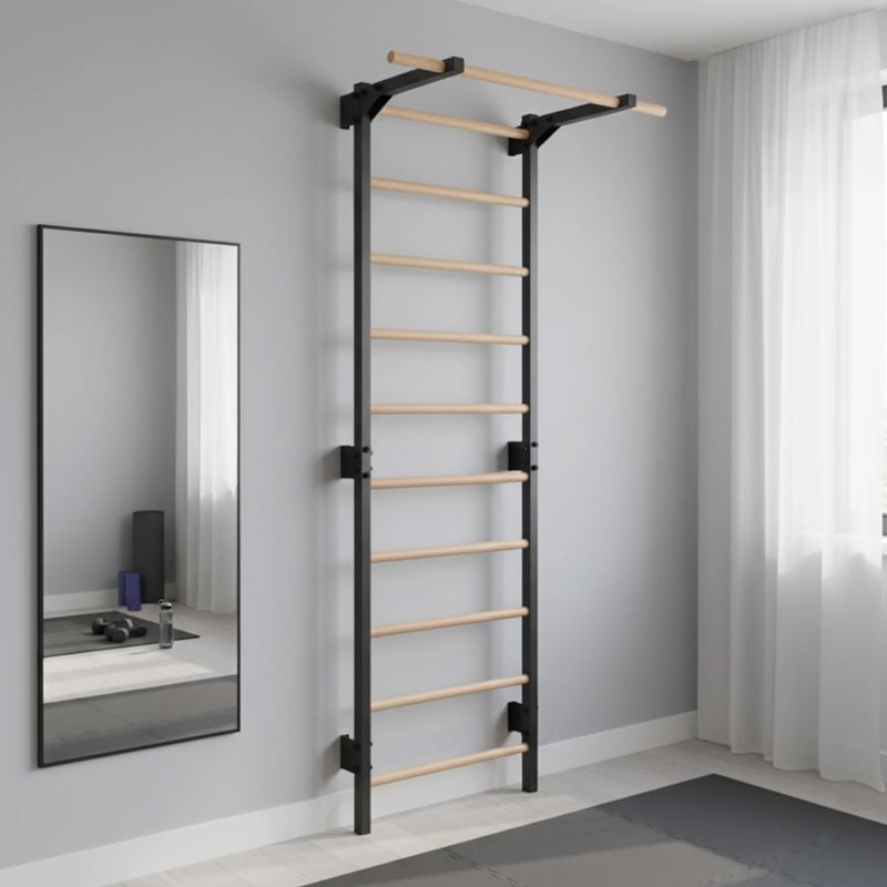 Gymnastics ladder RINAGYM Steel Pure graphit 14